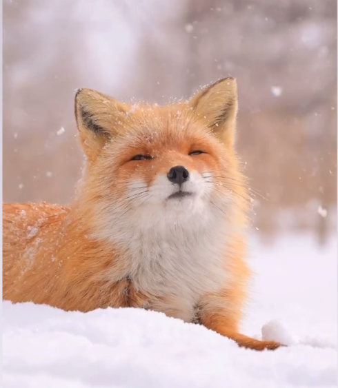 Photo de profil - face arrière